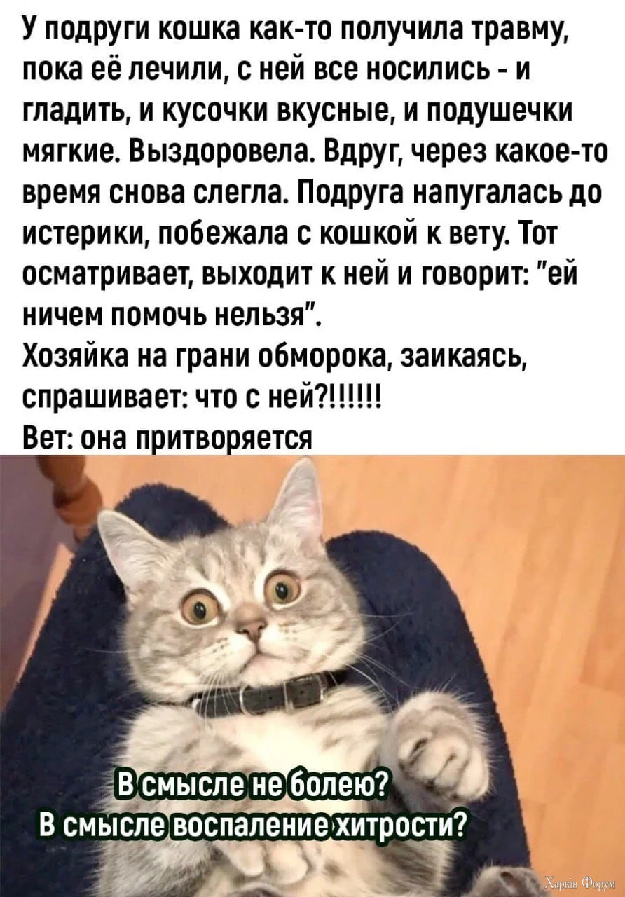 1728291357094.webp