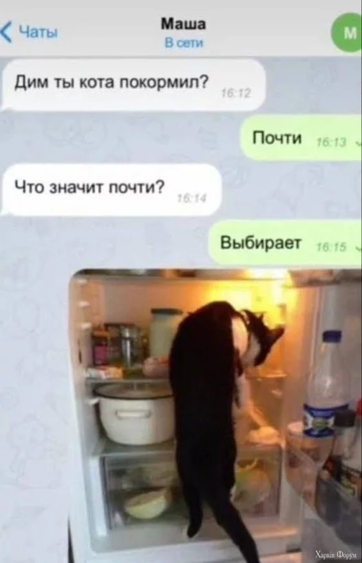 1728332149876.webp