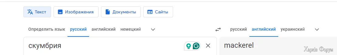 1728333905532.webp