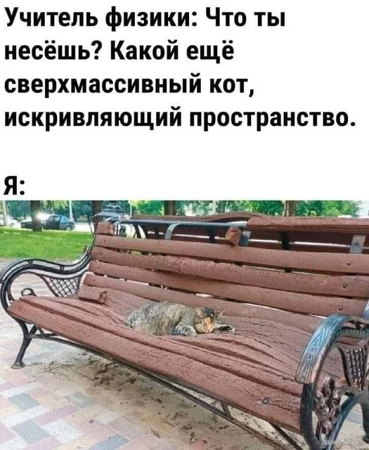 1728379976762.webp