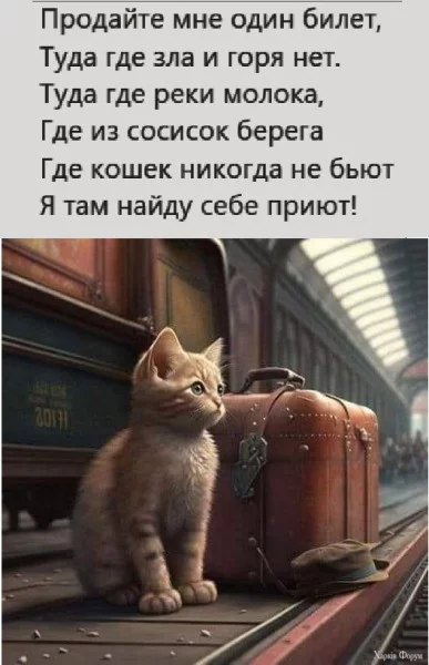1728427860755.webp