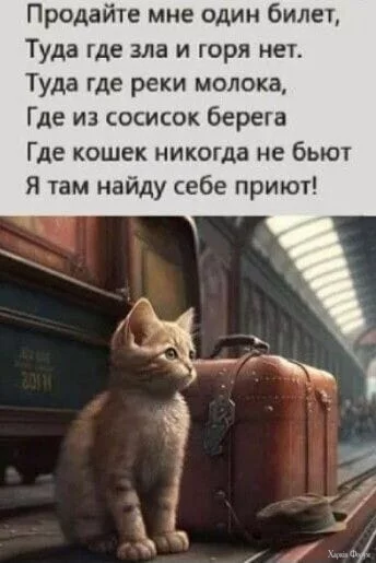 1728586661850.webp