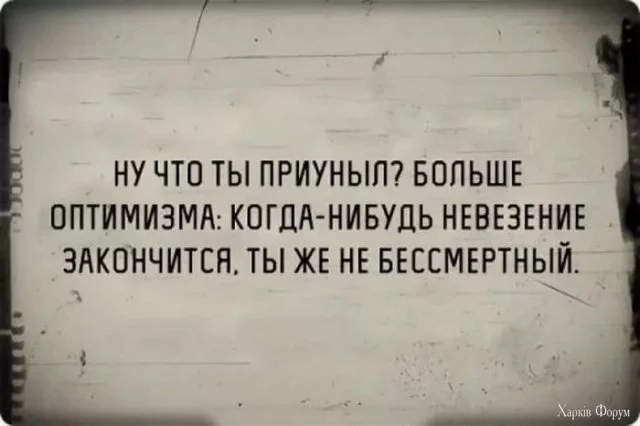 1728589239242.webp