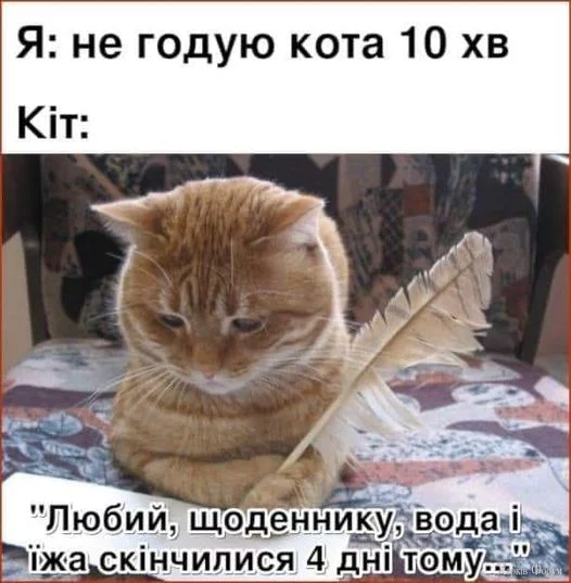 1728669922437.webp