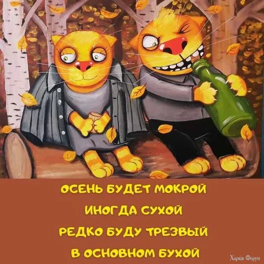 1728674449499.webp