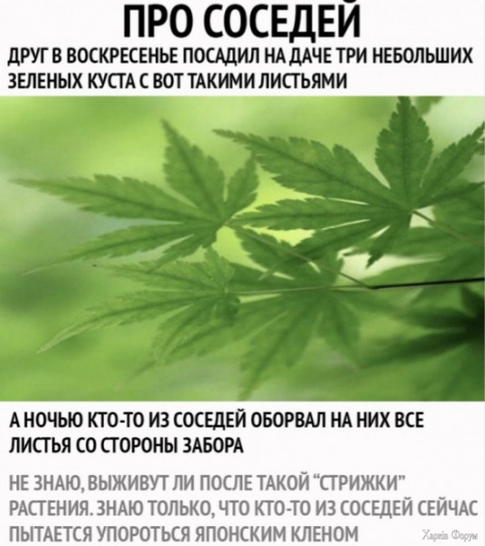 1728772301246.jpeg