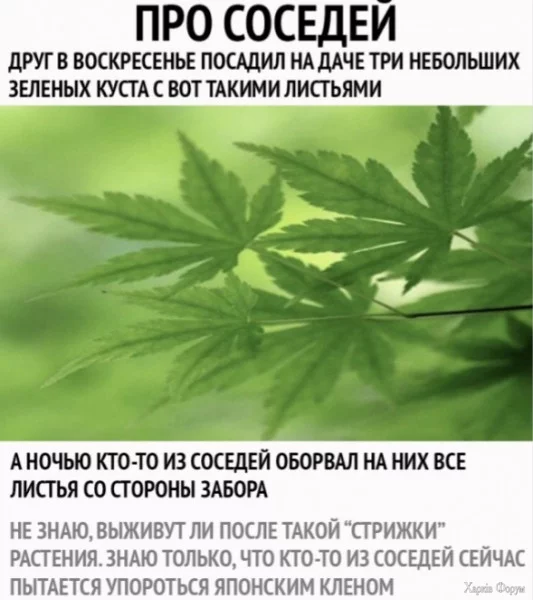 1728772301246.webp