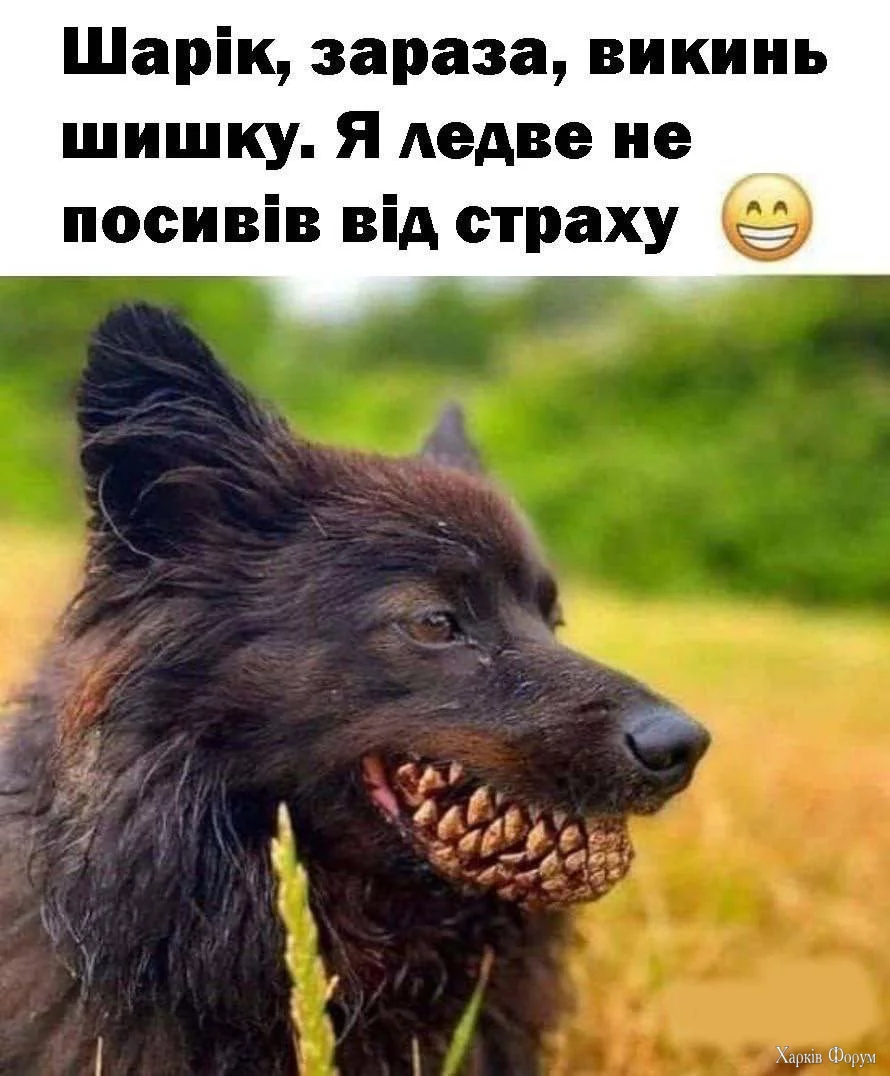1728847014137.webp