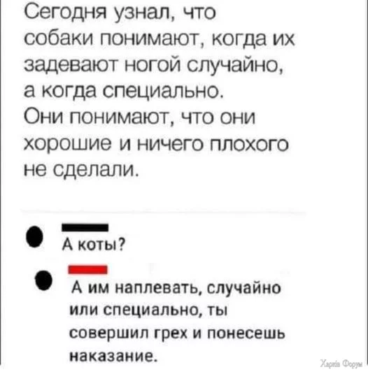 1728903654335.webp