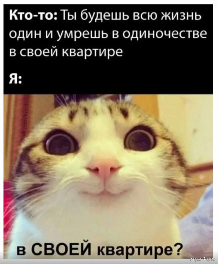 1728927827811.png