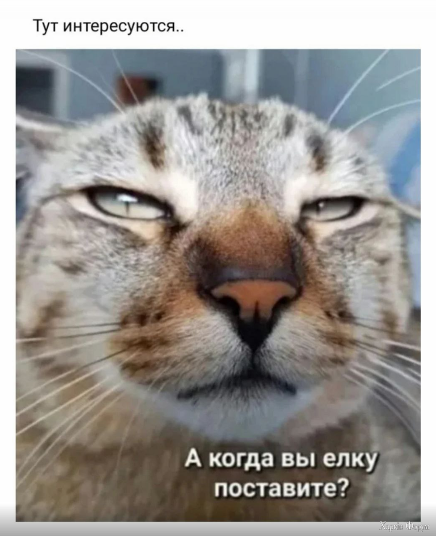 1729156820677.png