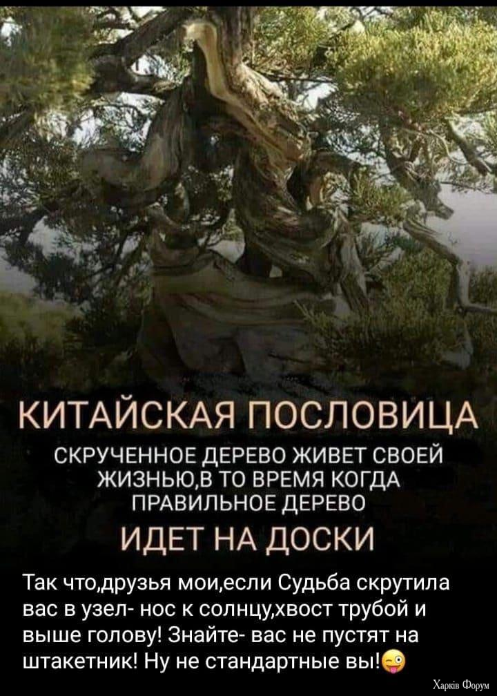 1729259390196.png