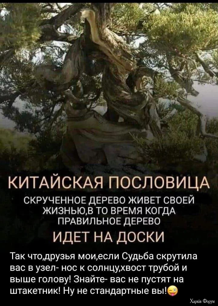 1729259390196.webp