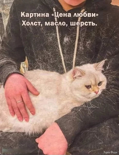 1729294227089.webp