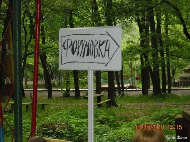 1729340383404.webp