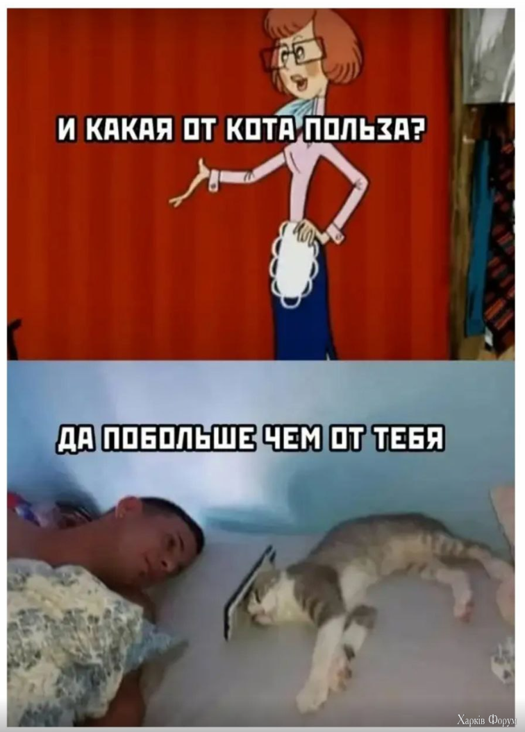 1729442661896.png
