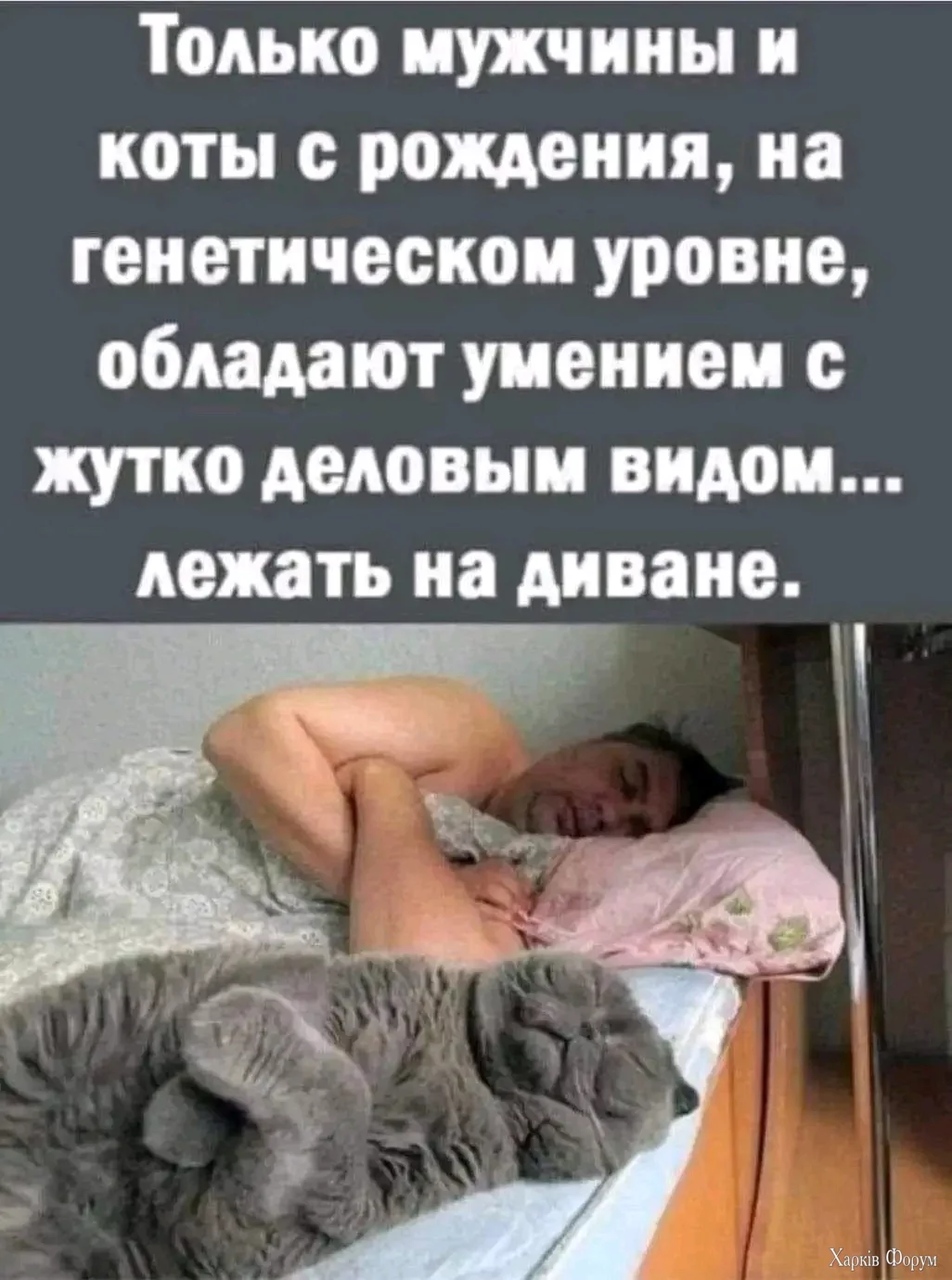 1729448147354.webp