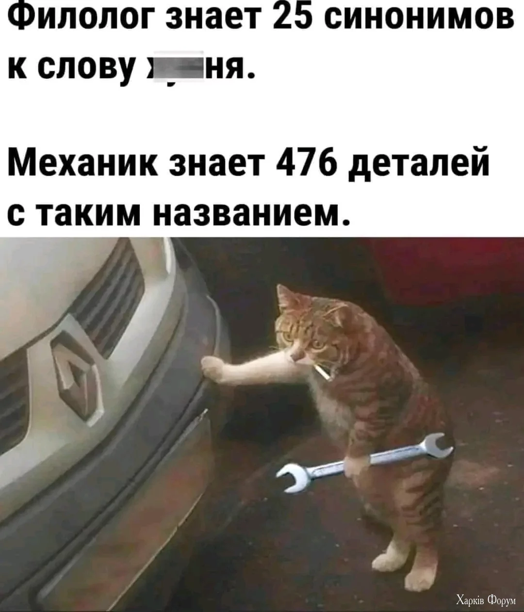 1729476683516.webp