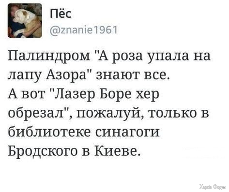 1729634127675.jpeg