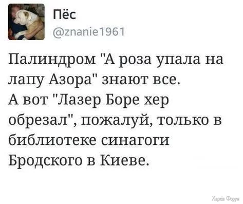 1729634127675.webp