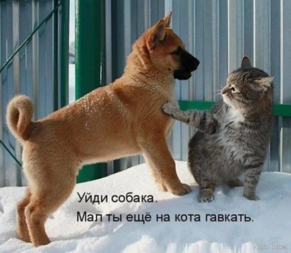 1729635146563.webp