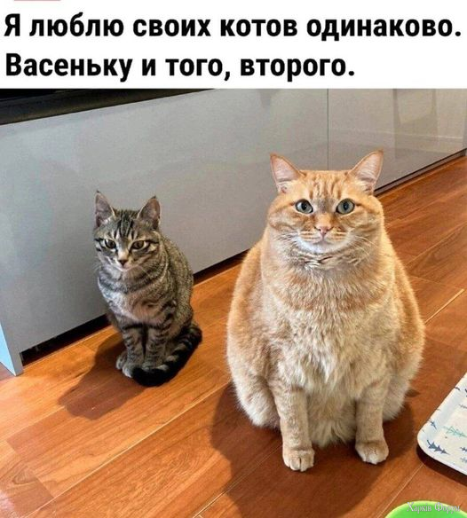 1729714081872.png