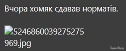 1729762812061.png