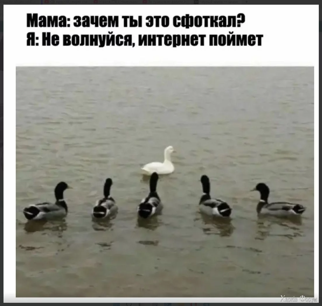 1729769920945.webp