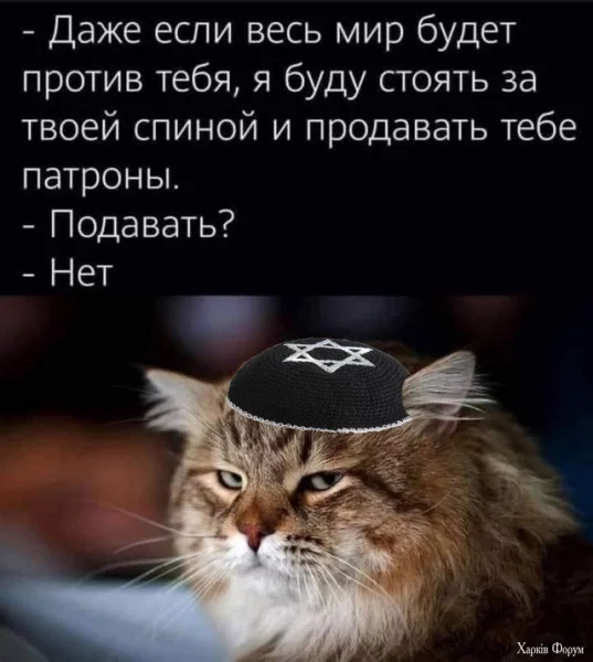 1729812065961.webp