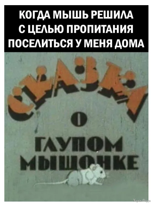 1729941800744.webp