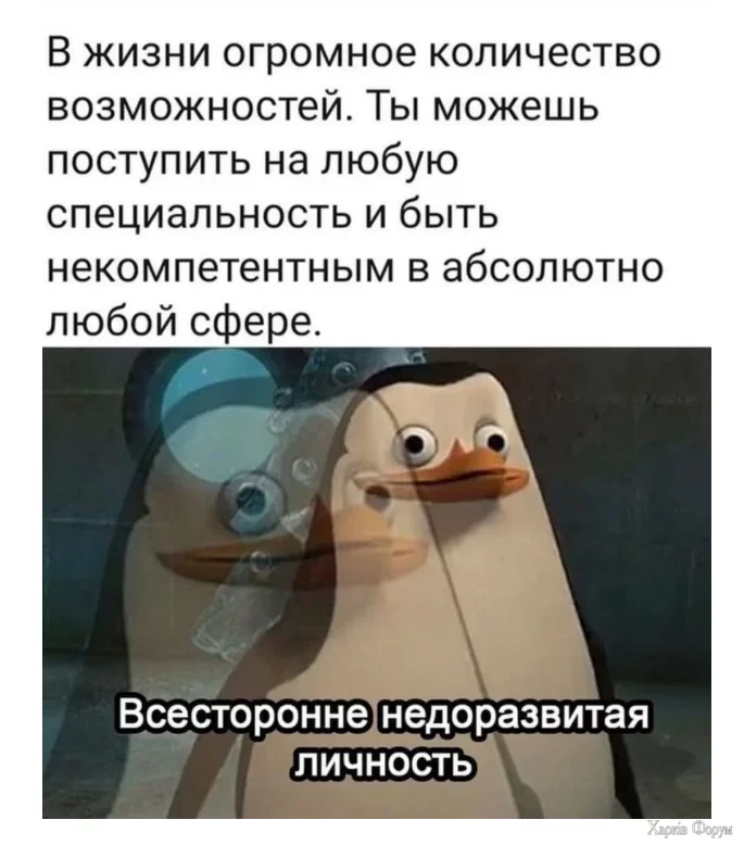 1729943754001.webp