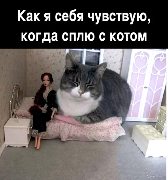 1729984375358.webp