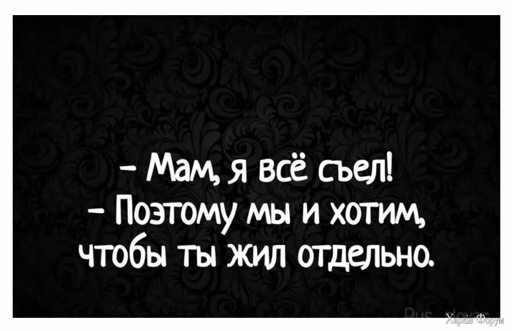 1730049148607.webp