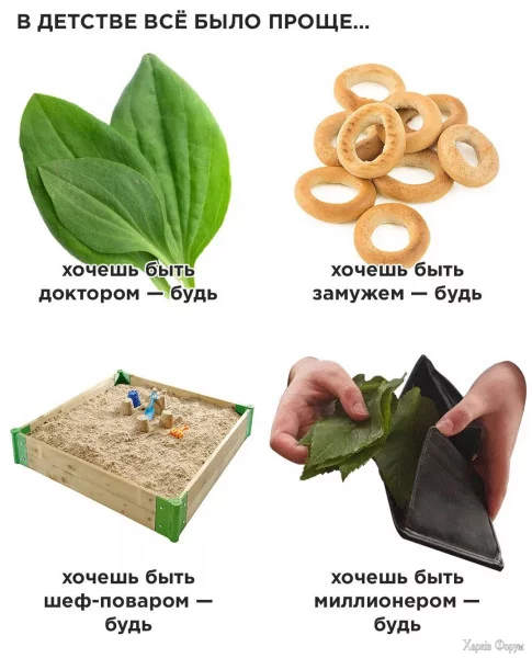 1730158806757.webp