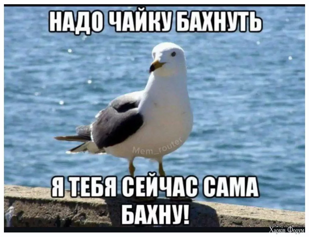 1730201704378.webp