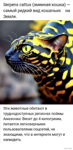 1730246901843.webp