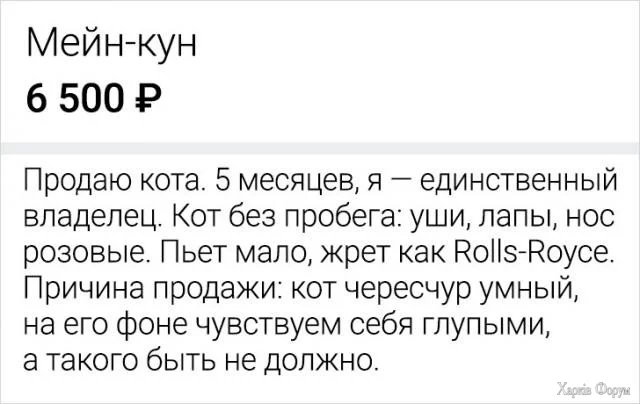 1730280310324.webp
