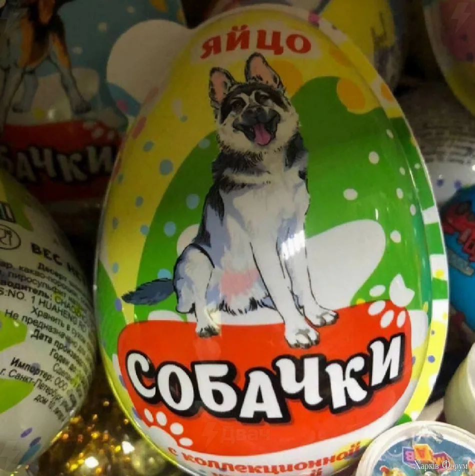 1730327608819.webp