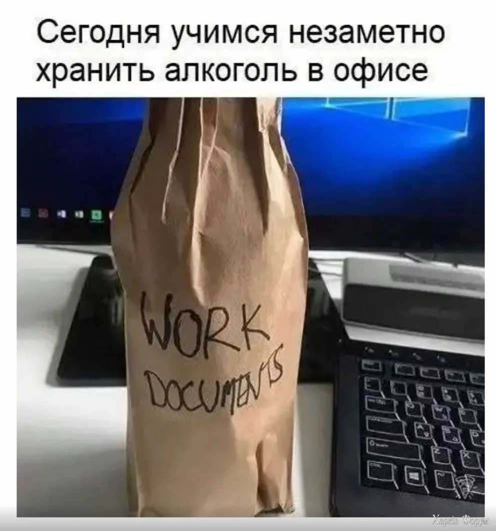 1730461521517.webp