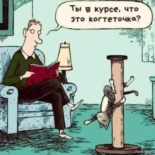 1730543894716.webp