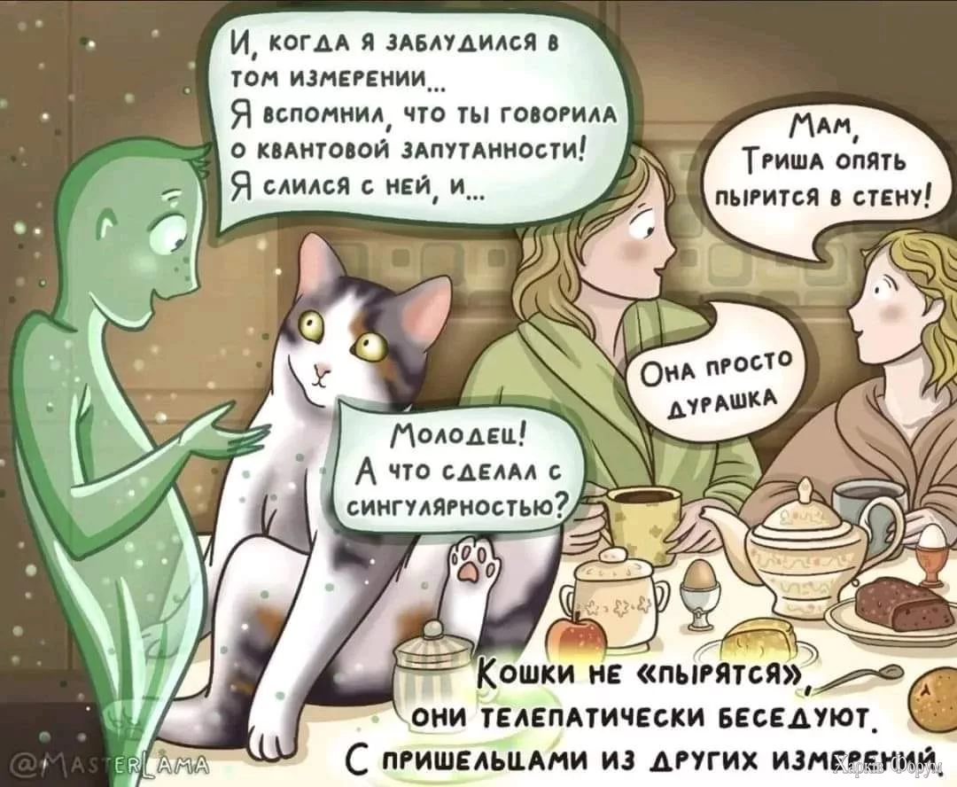 1730577988975.webp
