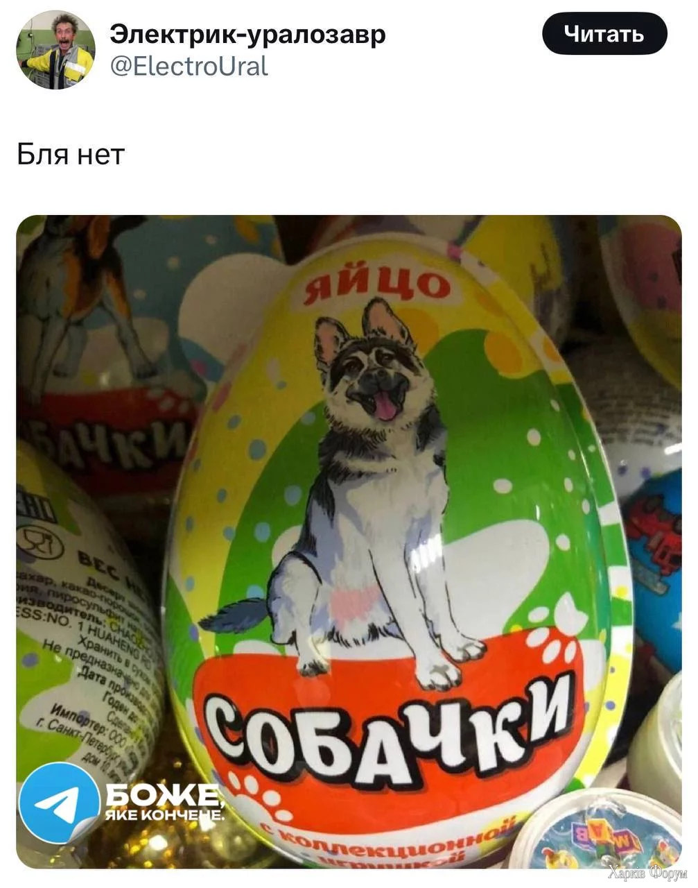1730584704767.webp