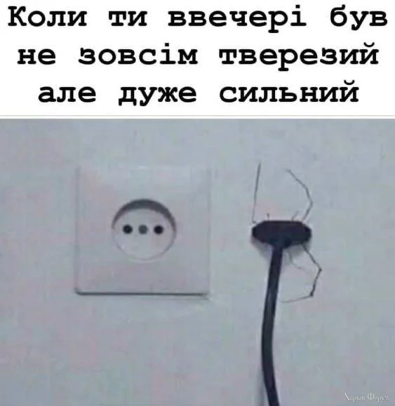 1730619119753.webp