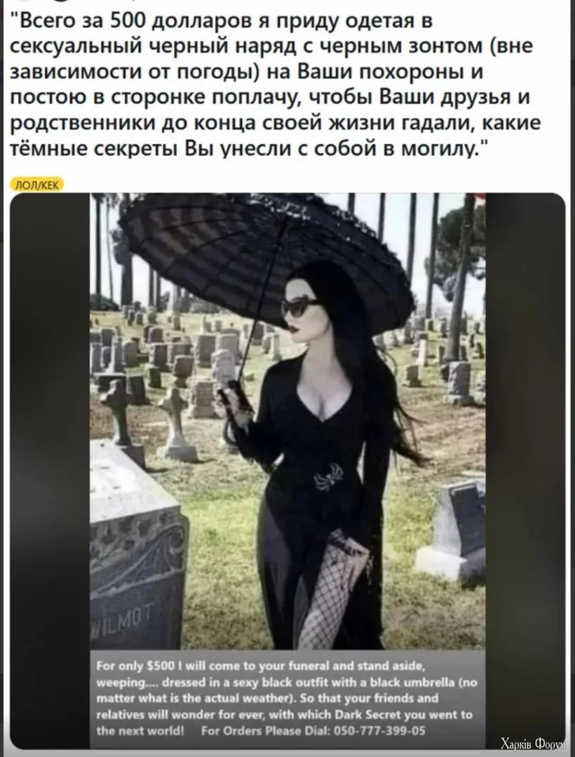 1730647328623.webp