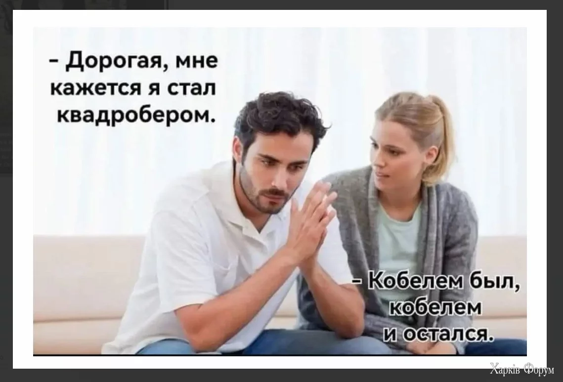 1730647352556.webp