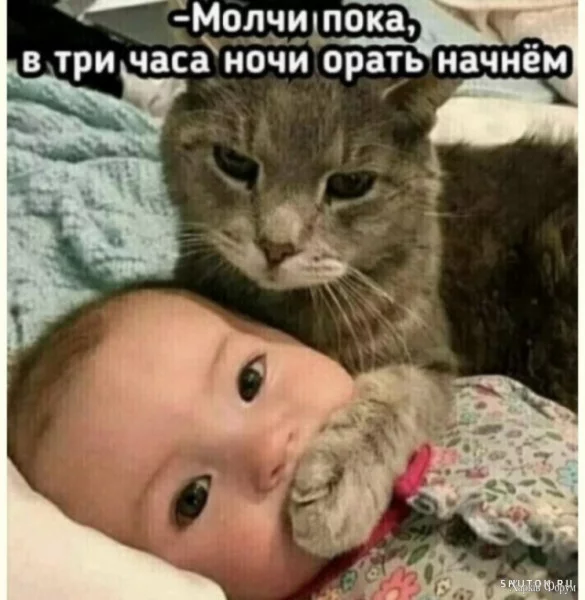 1730678840020.webp