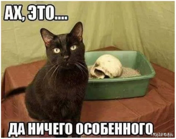 1730680882146.webp