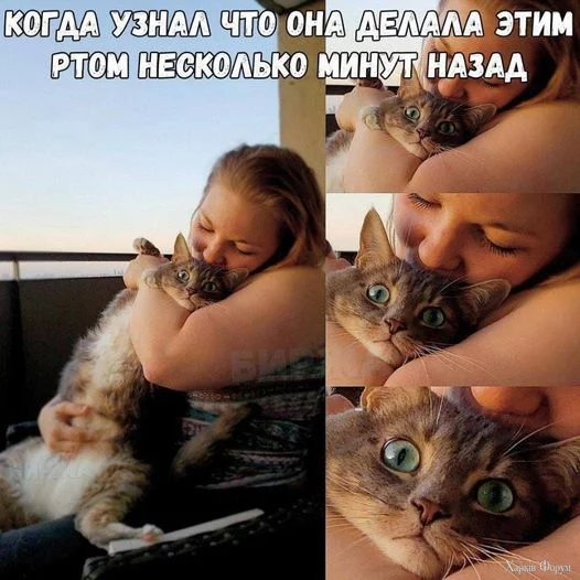 1730902039515.webp