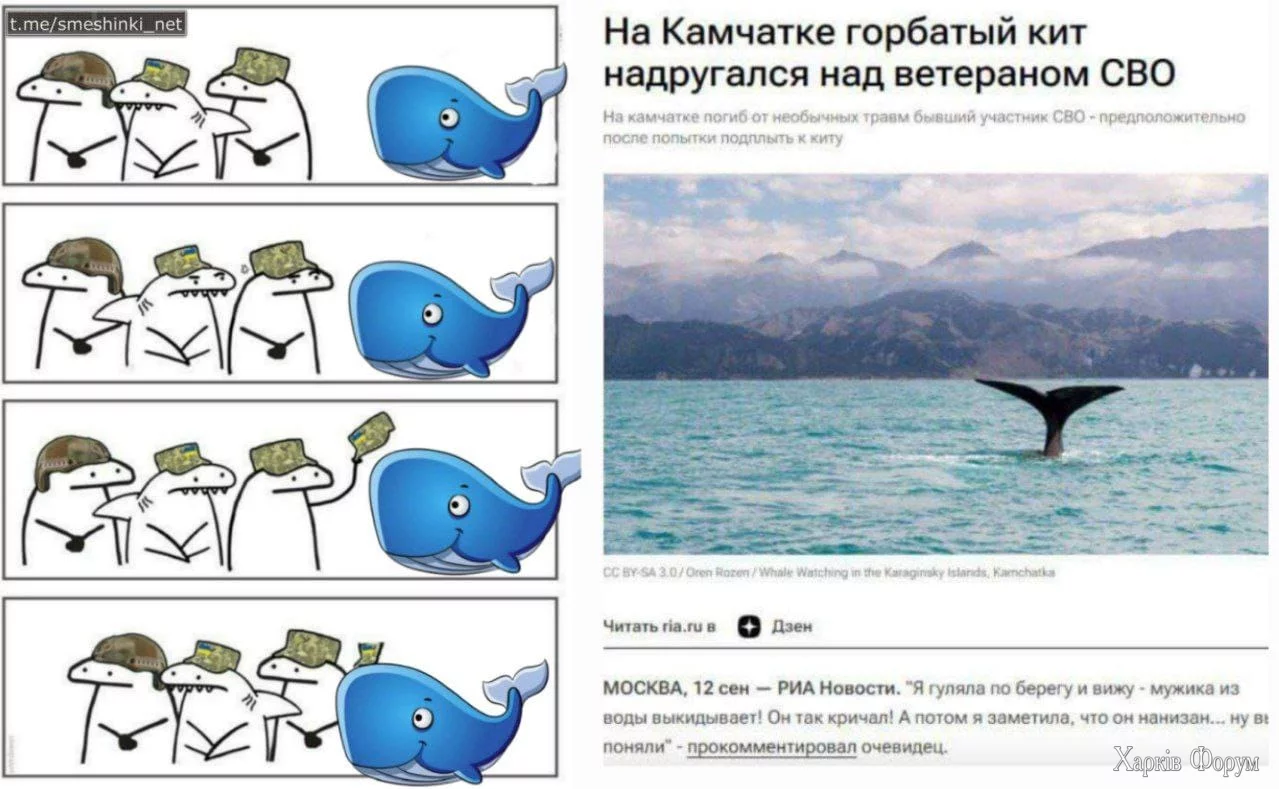 1730986836665.webp