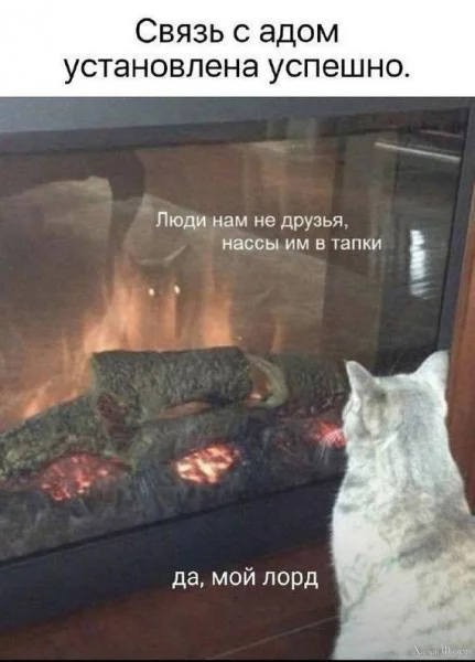1731027396022.webp